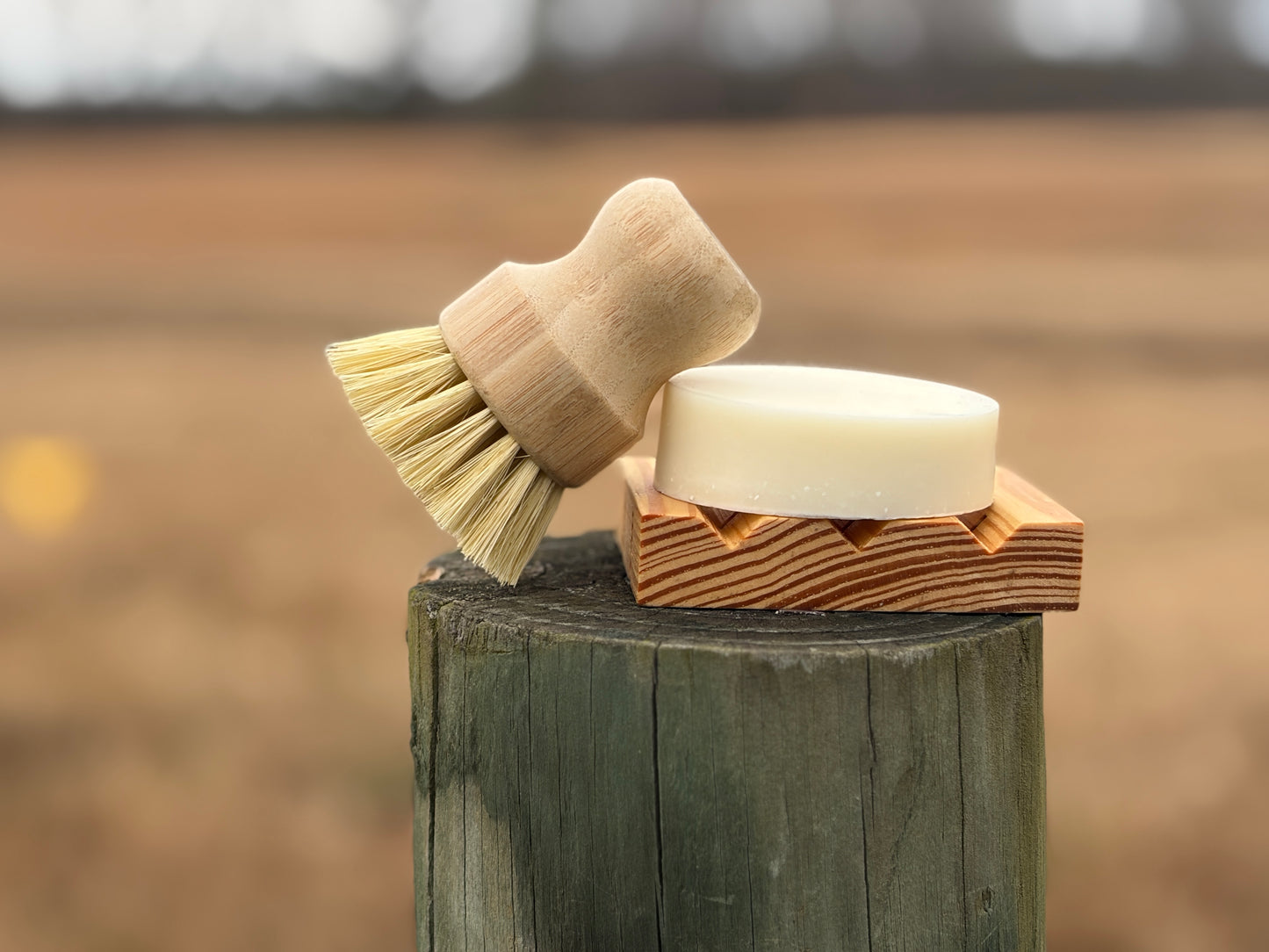 Lemon Dish Soap Starter Kit