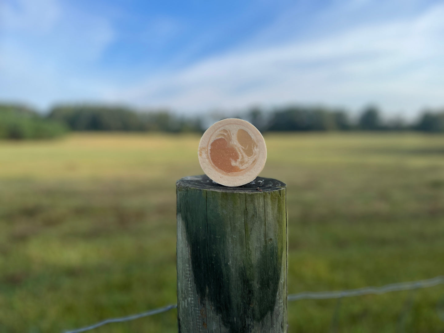 Pina Colada Goat Milk Soap