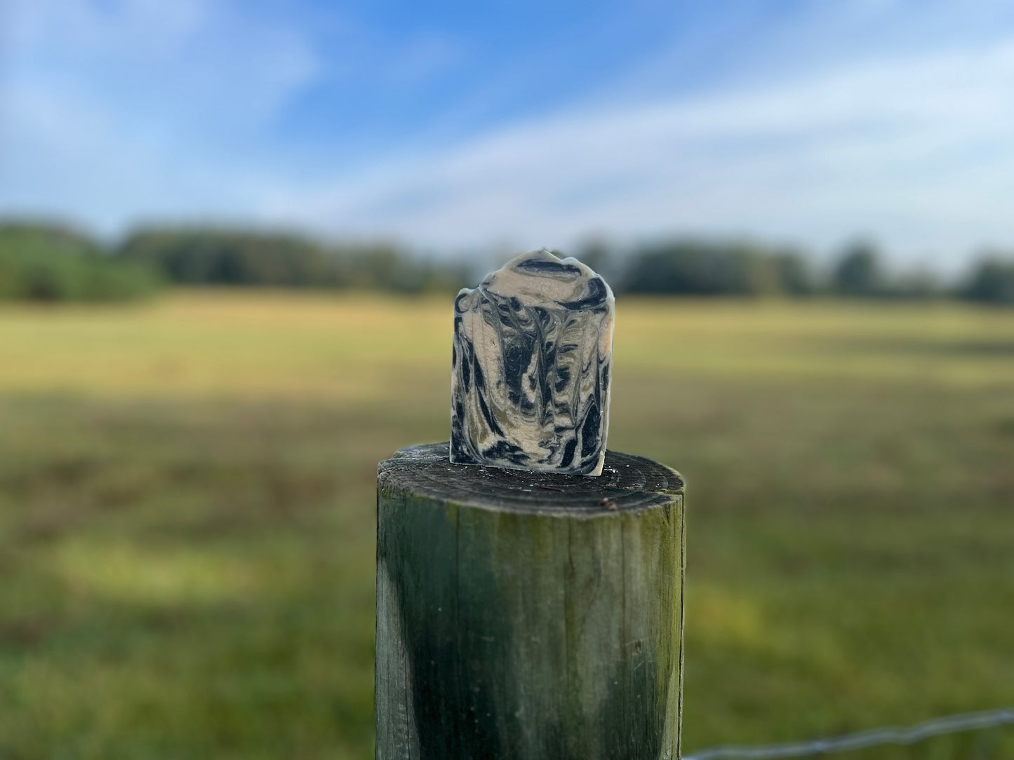 Black Spruce & Anise Goat Milk Soap