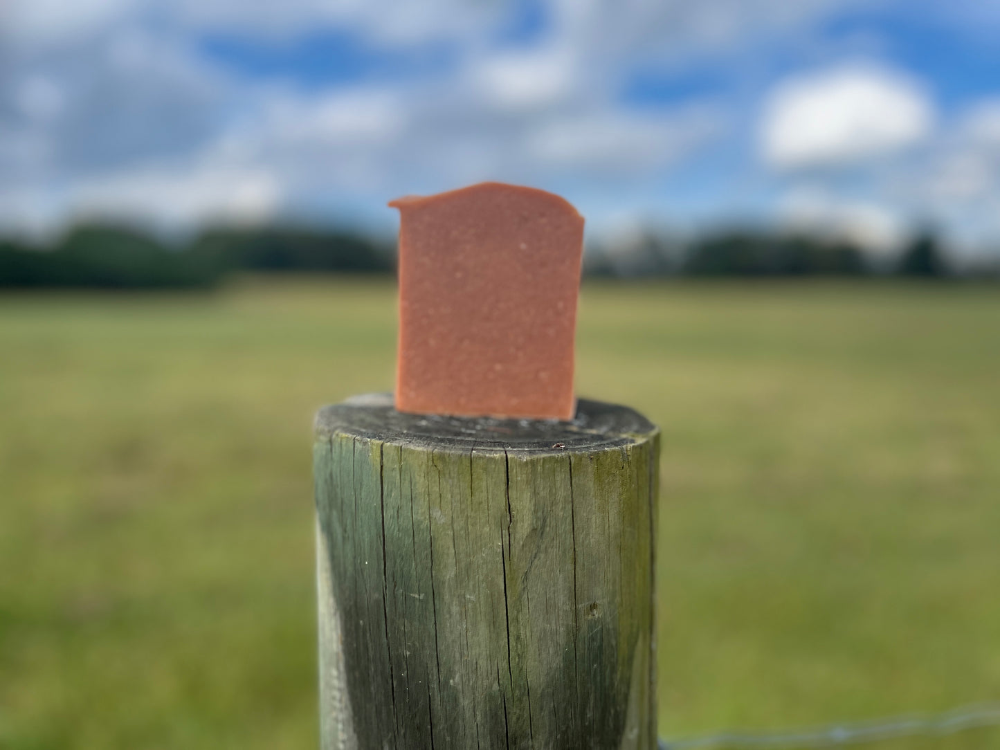 Smoked Tonka & Oud Goat Milk Soap