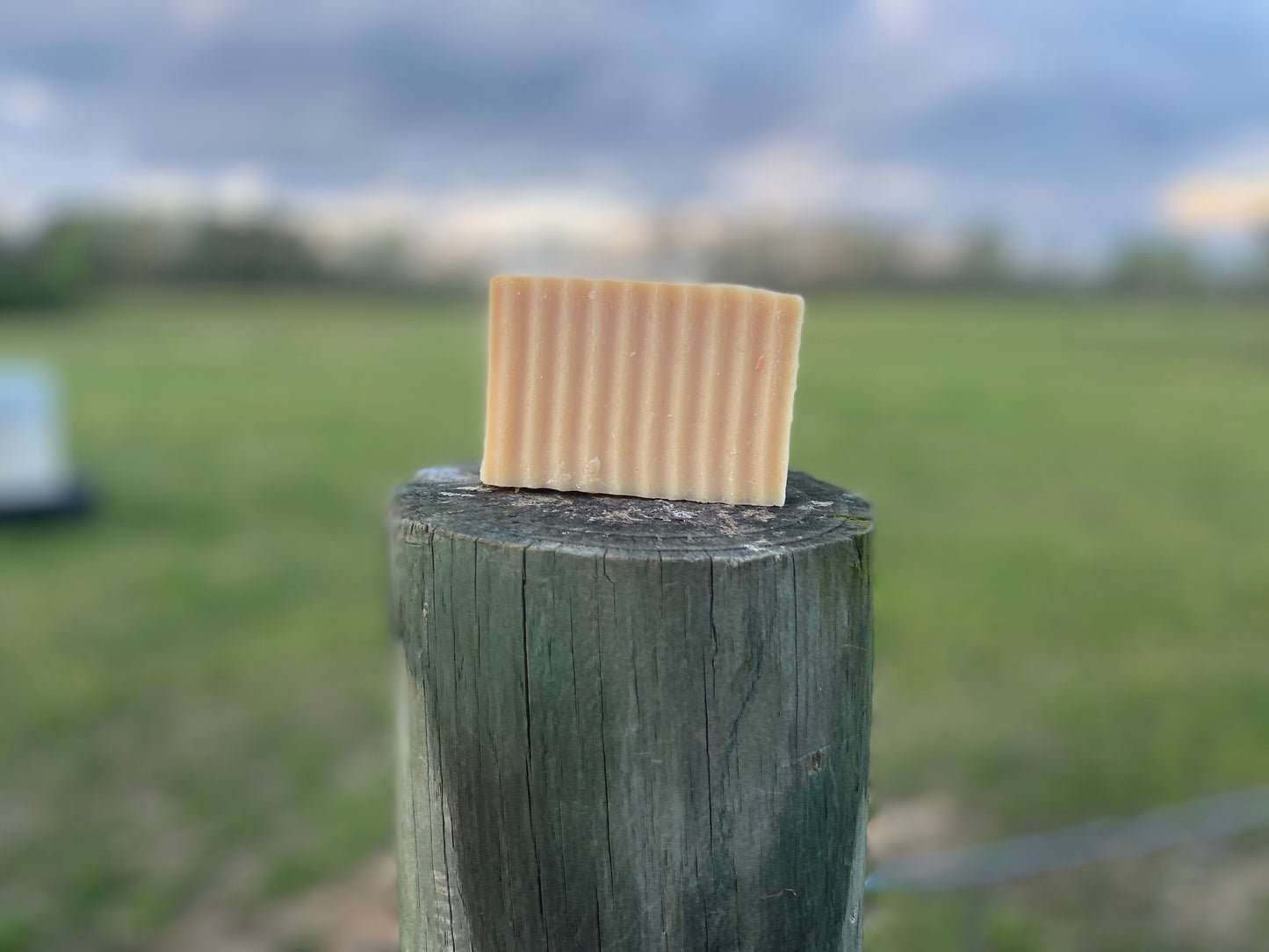 Honey Goat Milk Shampoo Bar