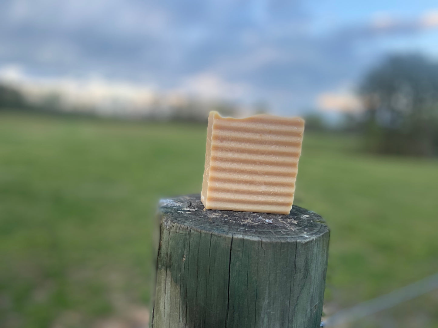 Goat Milk & Shea Butter Shampoo Bar
