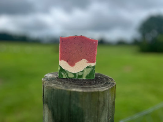 Watermelon Goat Milk Soap