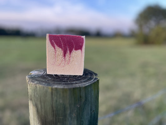 Candy Cane Goat Milk Soap