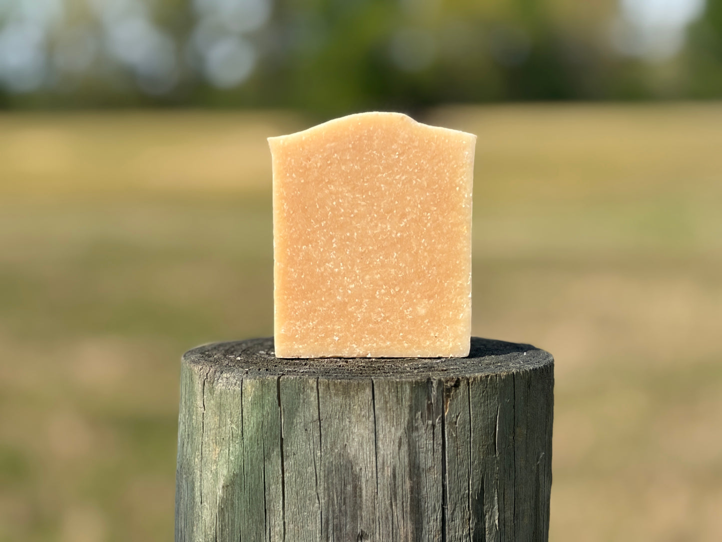 Unscented Goat Milk & Sea Salt Bars