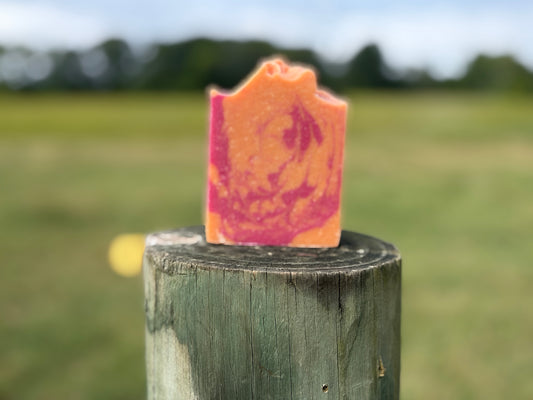 Orange Cranberry Spice Goat Milk Soap